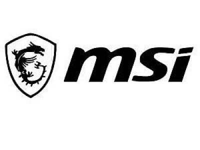 msi-300x268